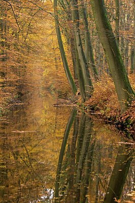 BUITEN BEELD Foto: 190244