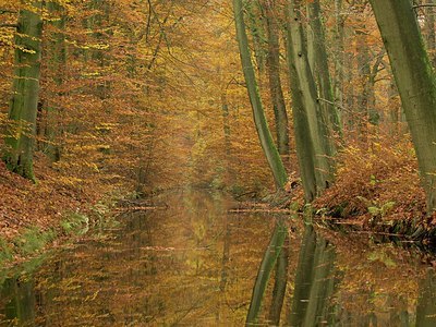 BUITEN BEELD Foto: 190248