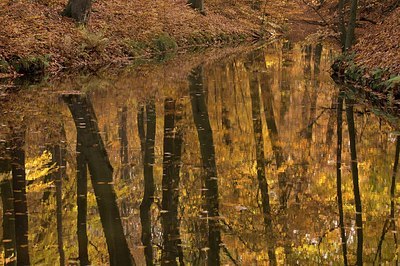 BUITEN BEELD Foto: 190249