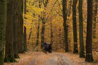 BUITEN BEELD Foto: 190250