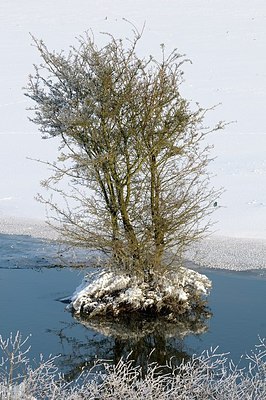 BUITEN BEELD Foto: 190310