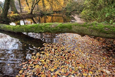 BUITEN BEELD Foto: 190320