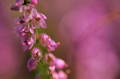 BUITEN BEELD Foto: 190360