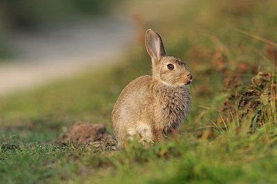BUITEN BEELD Foto: 190367