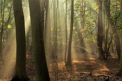 BUITEN BEELD Foto: 190376