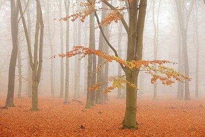 BUITEN BEELD Foto: 190422