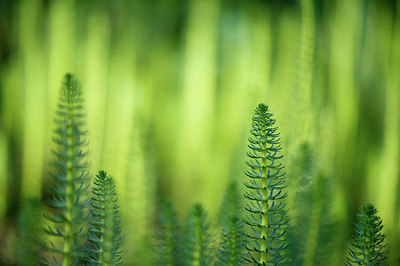 BUITEN BEELD Foto: 190436