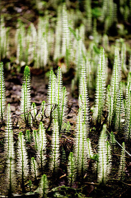 BUITEN BEELD Foto: 190438