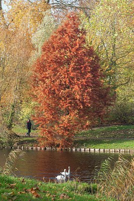 BUITEN BEELD Foto: 190450