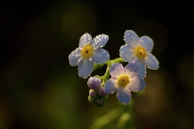 BUITEN BEELD Foto: 190557