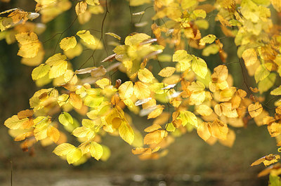 BUITEN BEELD Foto: 190589