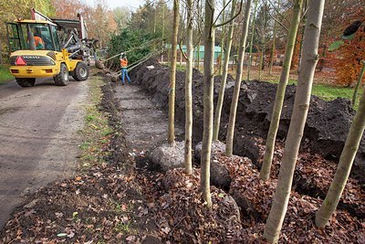 BUITEN BEELD Foto: 190595