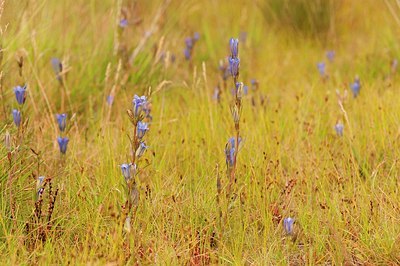 BUITEN BEELD Foto: 190618