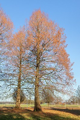 BUITEN BEELD Foto: 190693