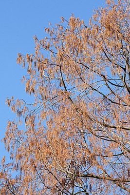 BUITEN BEELD Foto: 190695