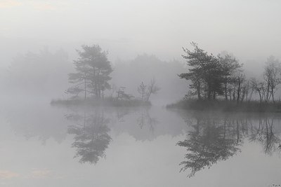 BUITEN BEELD Foto: 190717