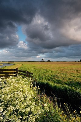 BUITEN BEELD Foto: 190751