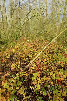 BUITEN BEELD Foto: 191045