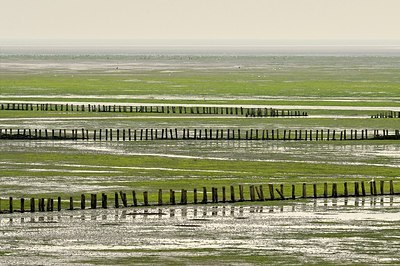 BUITEN BEELD Foto: 191079