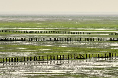 BUITEN BEELD Foto: 191079