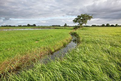 BUITEN BEELD Foto: 191120