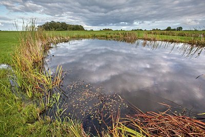 BUITEN BEELD Foto: 191124