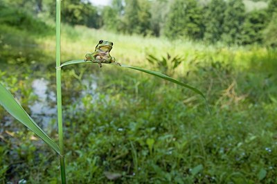 BUITEN BEELD Foto: 191177