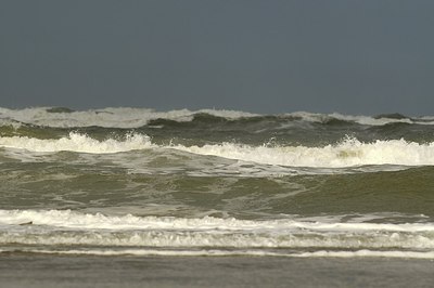 BUITEN BEELD Foto: 191267