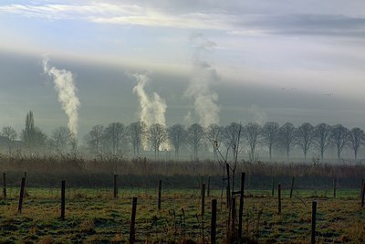 BUITEN BEELD Foto: 191424