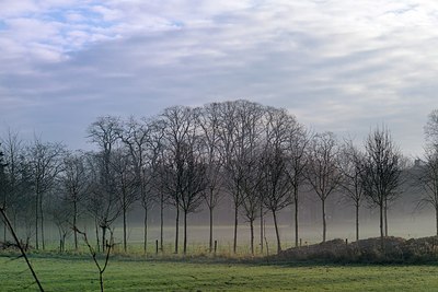 BUITEN BEELD Foto: 191428