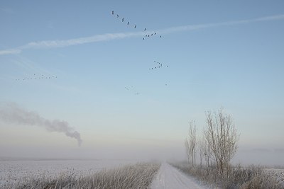 BUITEN BEELD Foto: 191612