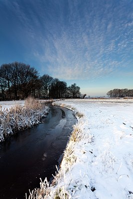 BUITEN BEELD Foto: 191646