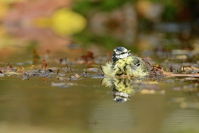 BUITEN BEELD Foto: 192038