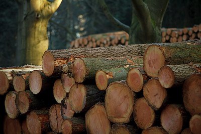 BUITEN BEELD Foto: 192065