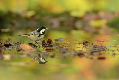 BUITEN BEELD Foto: 192080