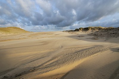 BUITEN BEELD Foto: 192329