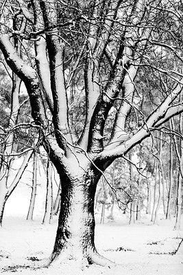 BUITEN BEELD Foto: 192384