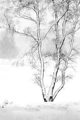 BUITEN BEELD Foto: 192389