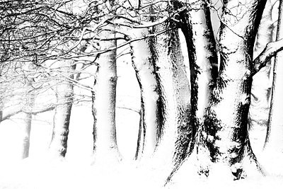 BUITEN BEELD Foto: 192391