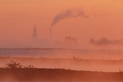 BUITEN BEELD Foto: 192529