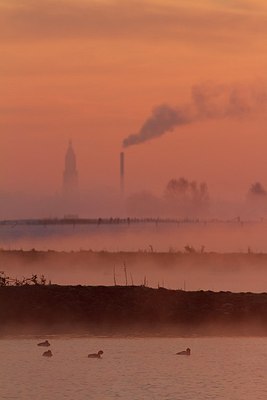 BUITEN BEELD Foto: 192532