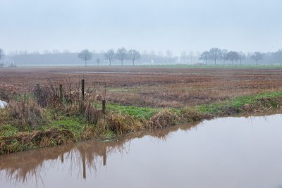 BUITEN BEELD Foto: 192554