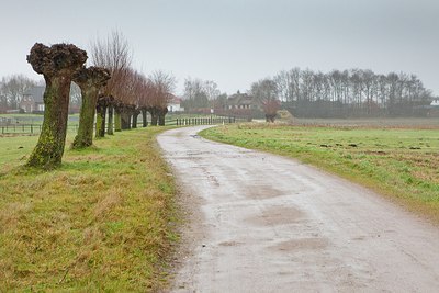 BUITEN BEELD Foto: 192555