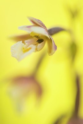 BUITEN BEELD Foto: 192571