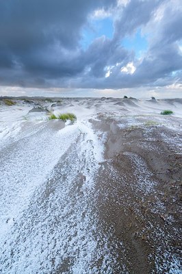 BUITEN BEELD Foto: 192575