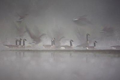 BUITEN BEELD Foto: 192604