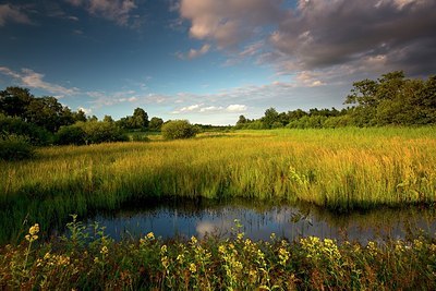 BUITEN BEELD Foto: 192632