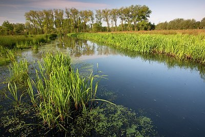 BUITEN BEELD Foto: 192639