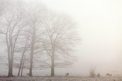 BUITEN BEELD Foto: 192652