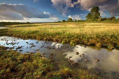 BUITEN BEELD Foto: 192653